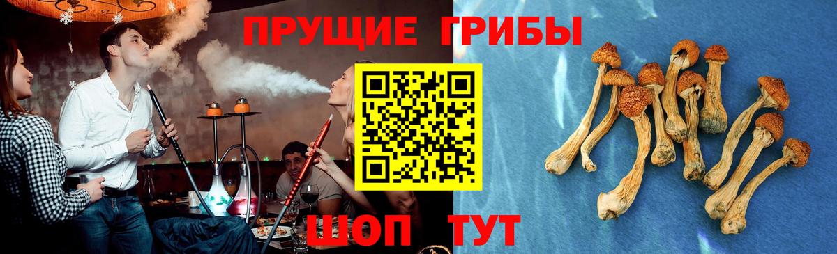 Алексин  Галлюциногенные грибы Magic Shrooms  Вход с VPN 